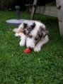 /album/fotogalerij/a2013-08-22-16-29-49-jpg/